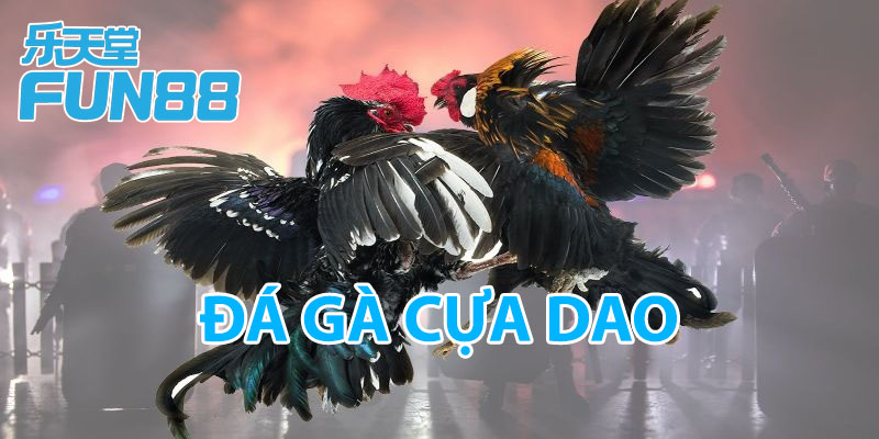 đá gà cựa dao fun88